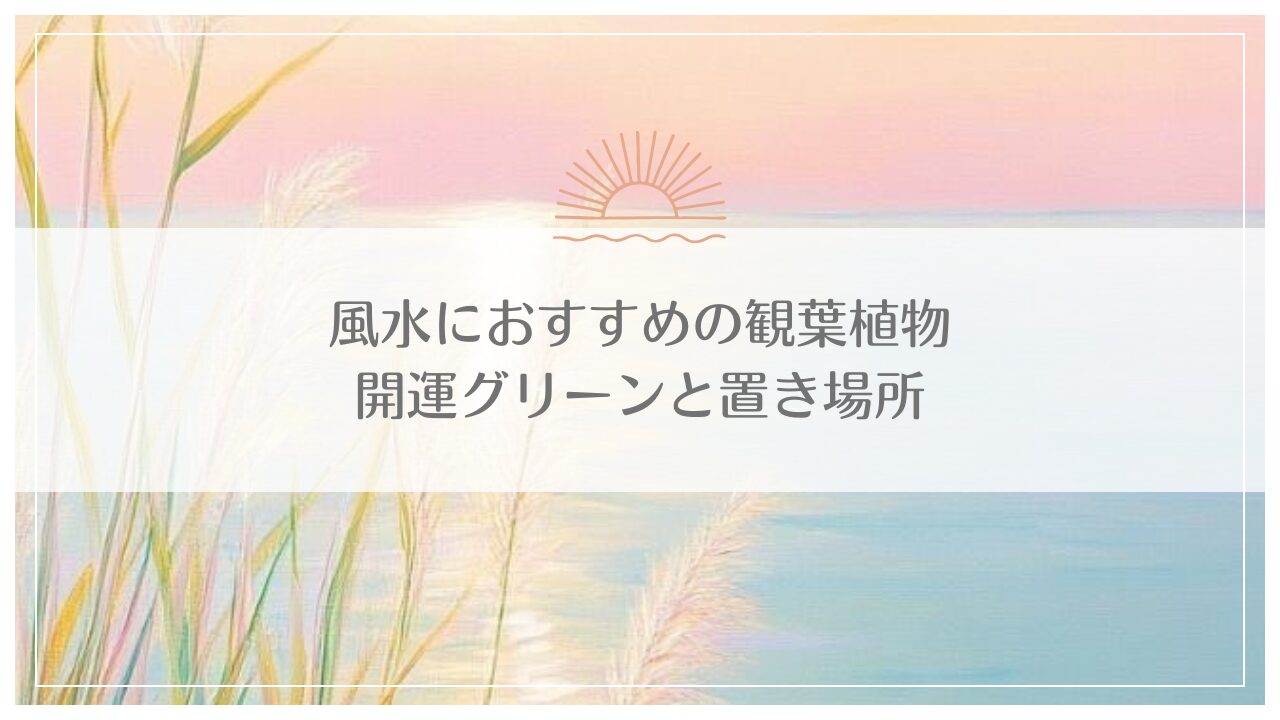 風水におすすめの観葉植物｜開運グリーンと置き場所